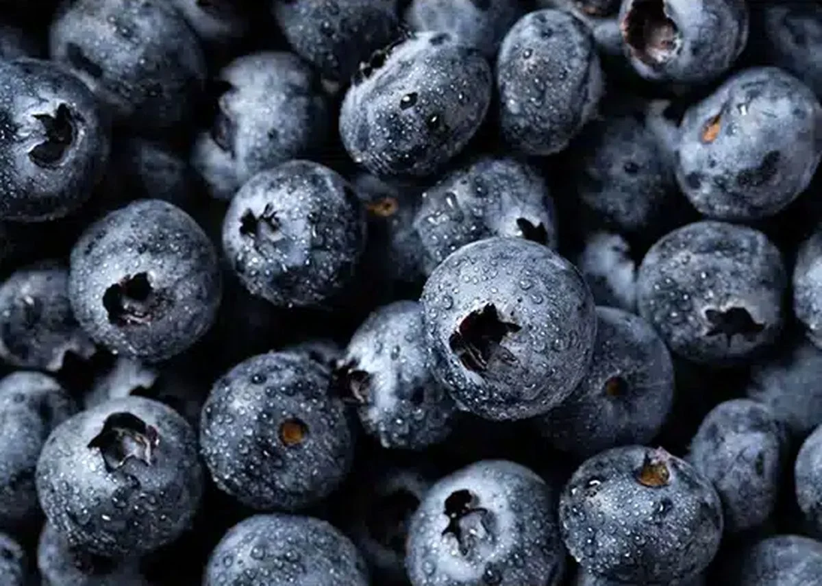 سلامتیتان به مصرف این ۱۰ خوراکی گره خورده است! سلامتیتان به مصرف این ۱۰ خوراکی گره خورده است!