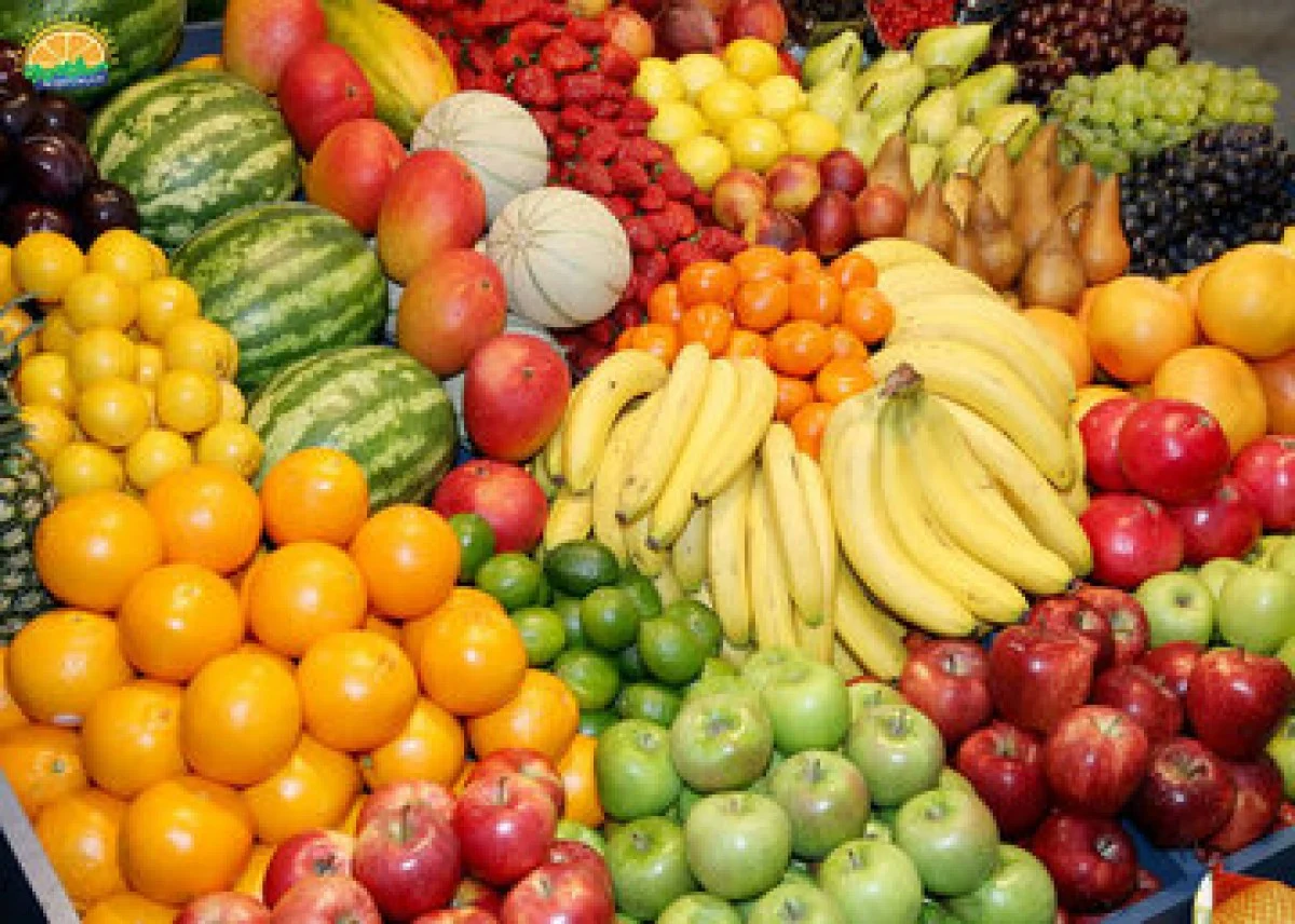 2025-11-20_09-33-03_113132-meylesokhan-ir 6296051