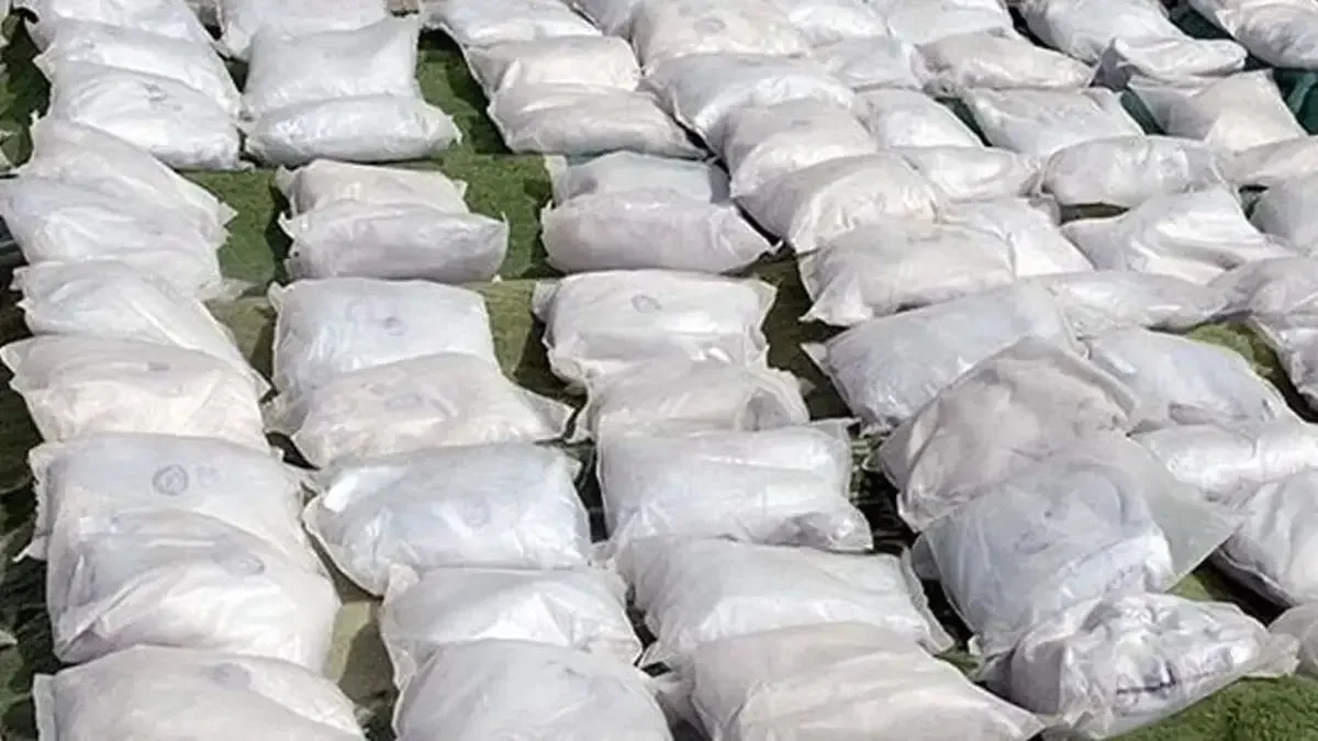 photo_2025-11-21_01-00-34