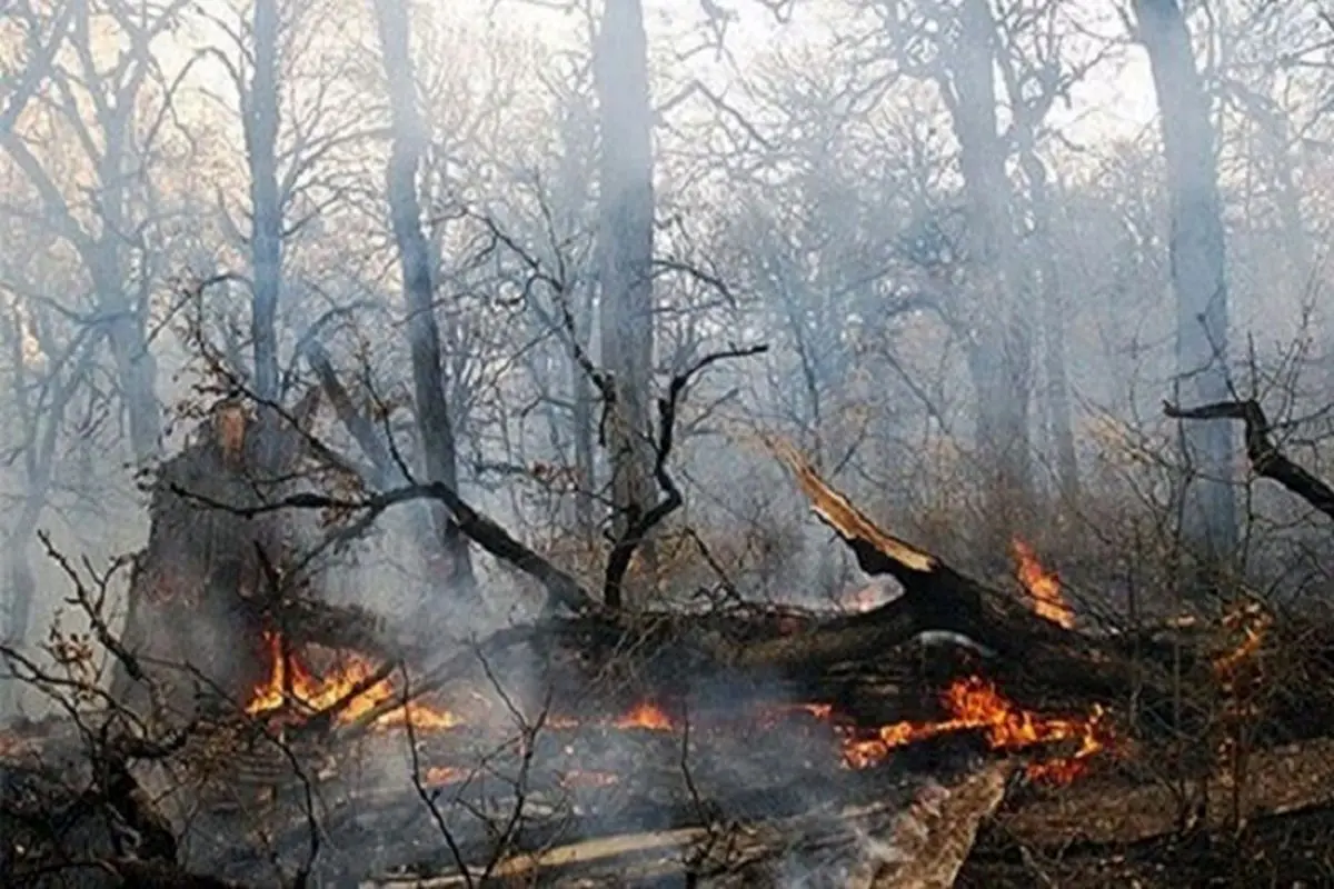 آغاز عملیات مهار آتش‌سوزی جنگل‌های چالوس با هواپیمای ایلوشن | ۴۰ گروه امدادی در صحنه