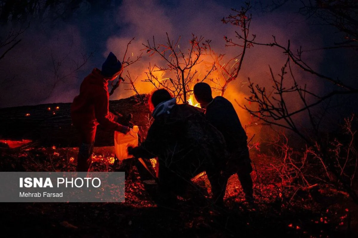 photo_2025-11-21_21-00-26