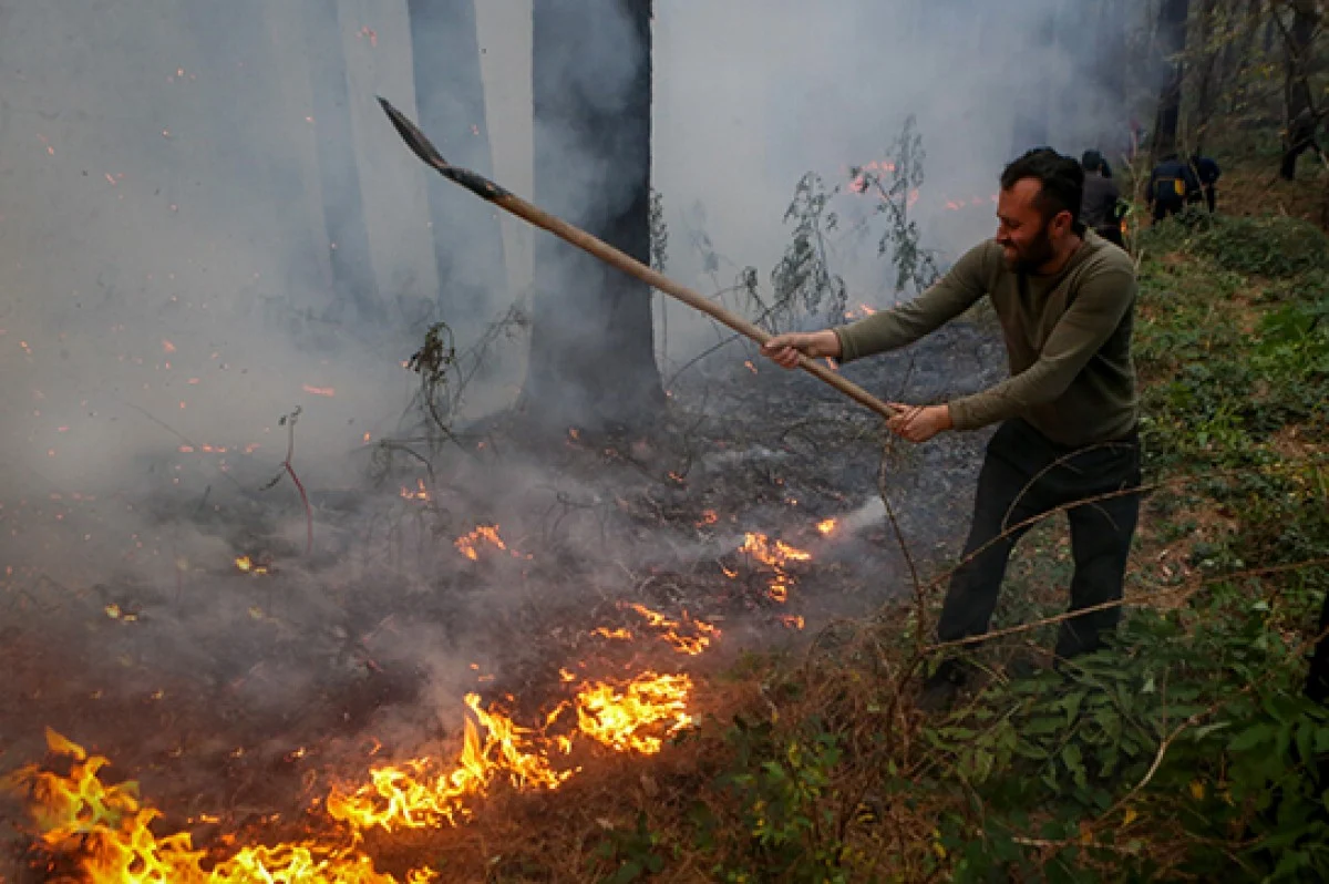 آتش سوزی در جنگل های چالوس؛ اعزام سه بالگرد و دستور ویژه عارف