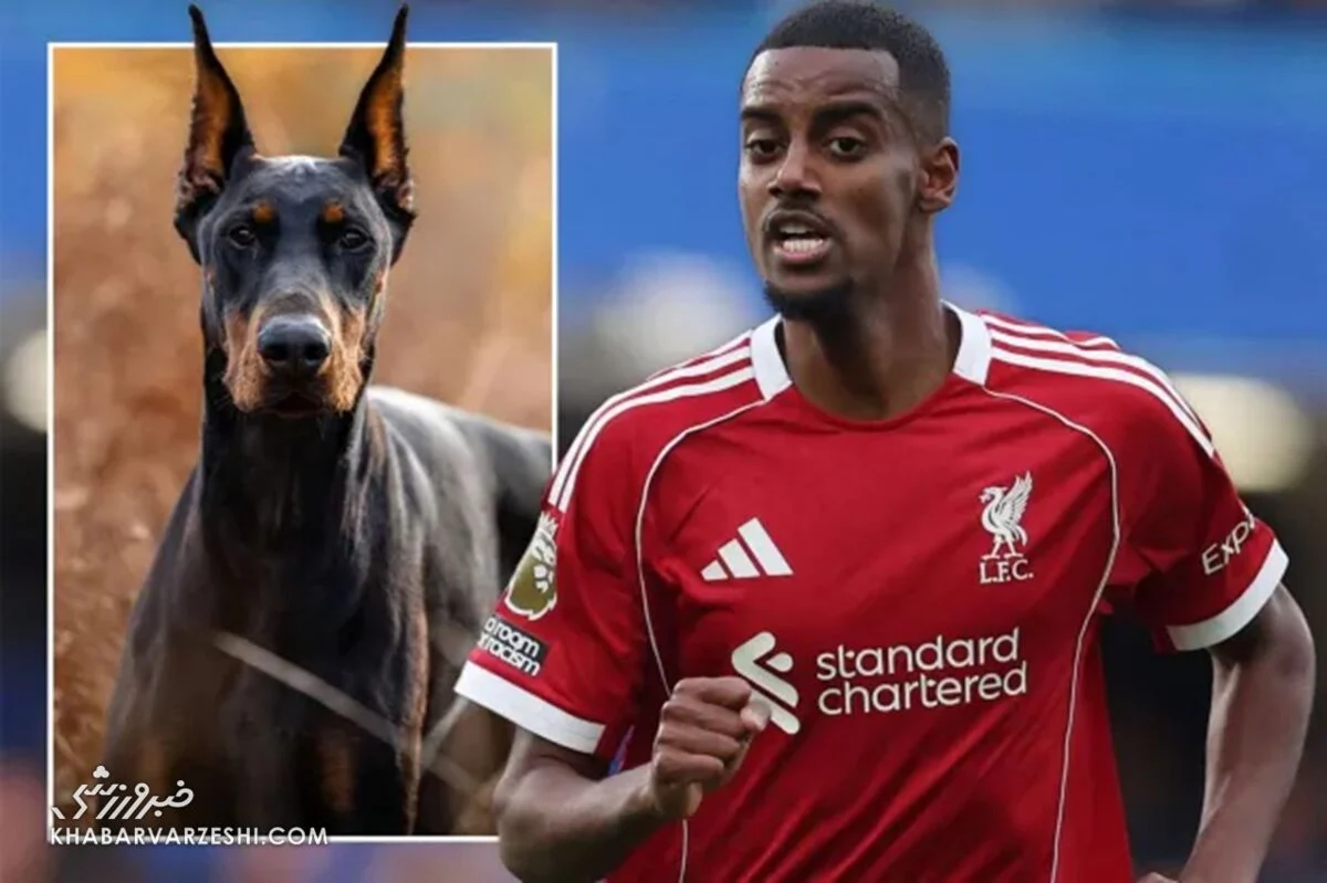 ستاره لیورپول تهدید به مرگ شد؛ خرید سگ نگهبان برای حفاظت از خانواده