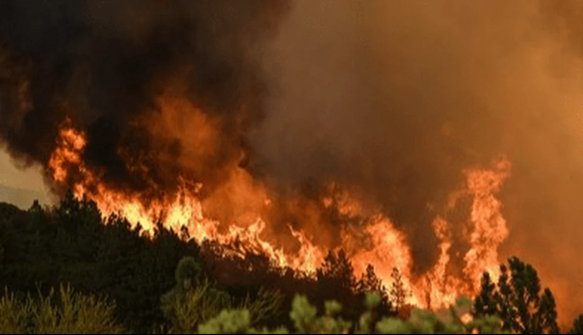 a1d4480c-5e8d-45c7-ba80-45e226cf8943