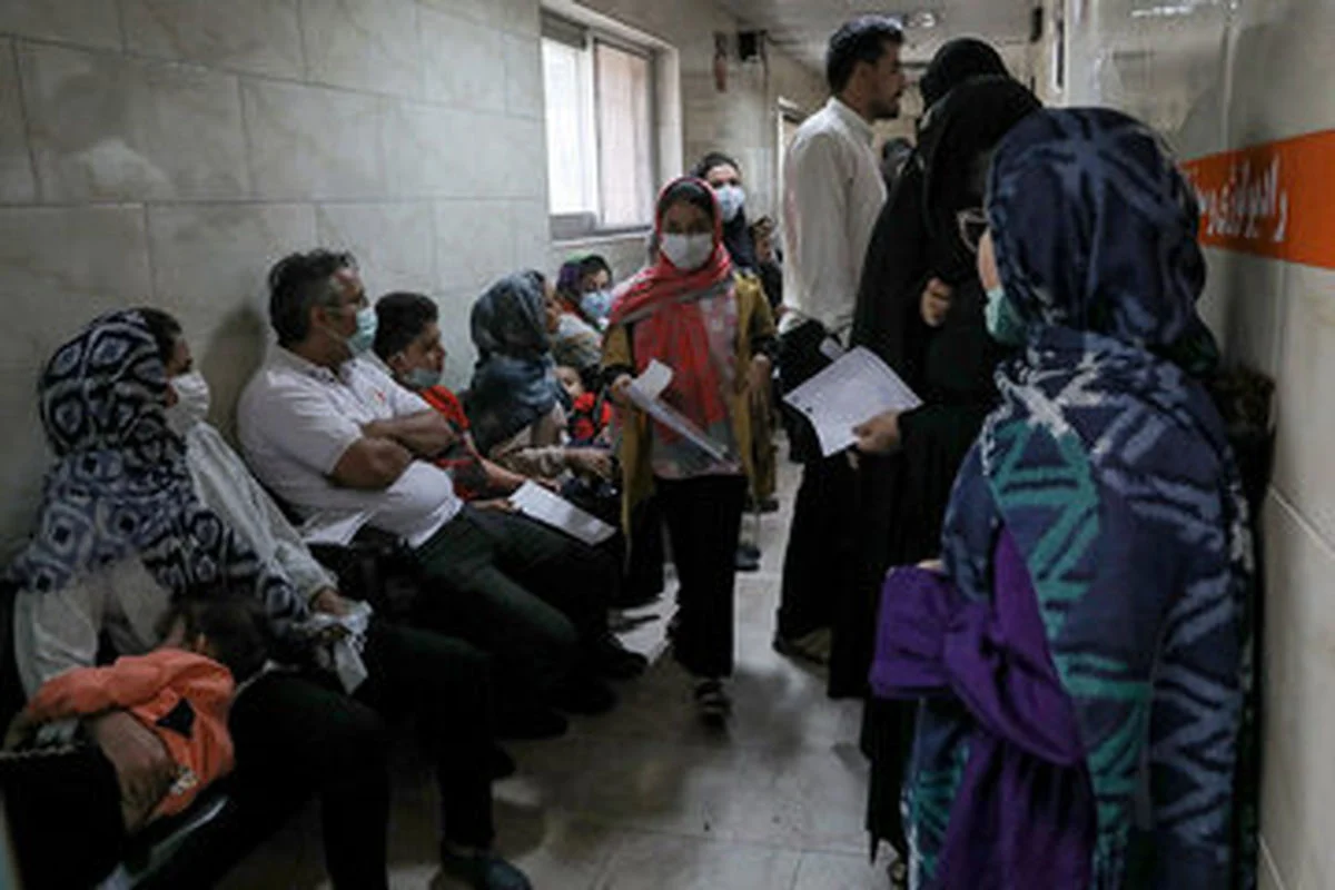 خبر جدید ؛ گسترش آنفلوآنزای H۳N۲ با سرعت بالا در کشور خبر جدید ؛ گسترش آنفلوآنزای H۳N۲ با سرعت بالا در کشور