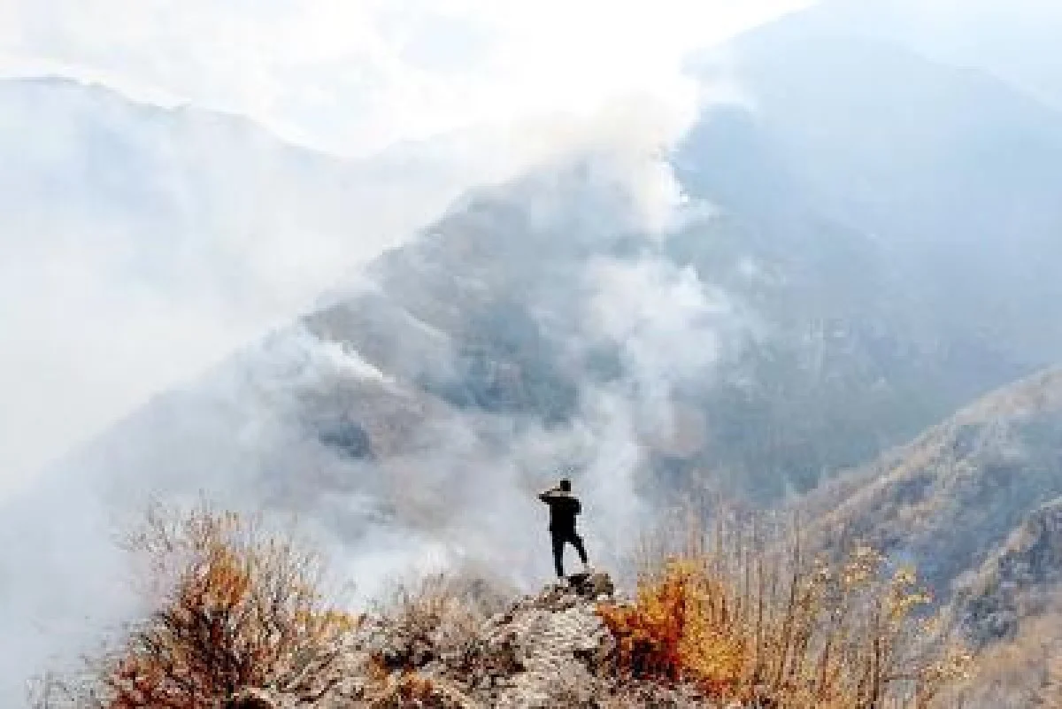 جنگل‌های الیت چالوس نفس تازه کردند | توقف گسترش آتش‌سوزی پس از ۸ روز نبرد با شعله‌ها