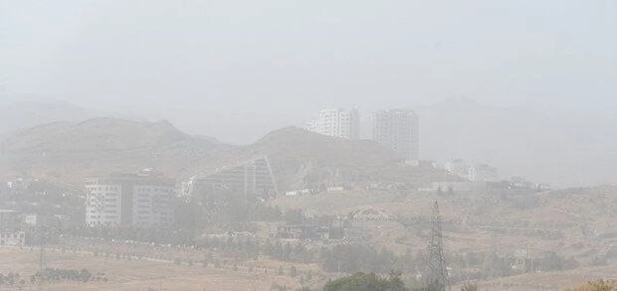 photo_2025-11-23_11-29-36