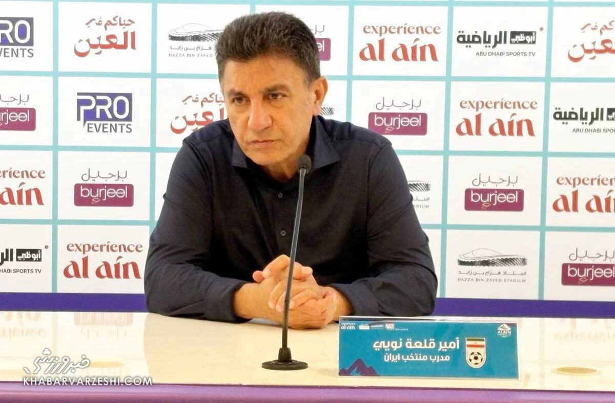 امیر قلعه‌نویی