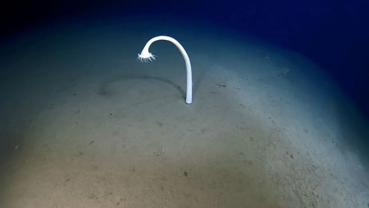 2025-11-24_14-45-53_241561-meylesokhan-ir 1