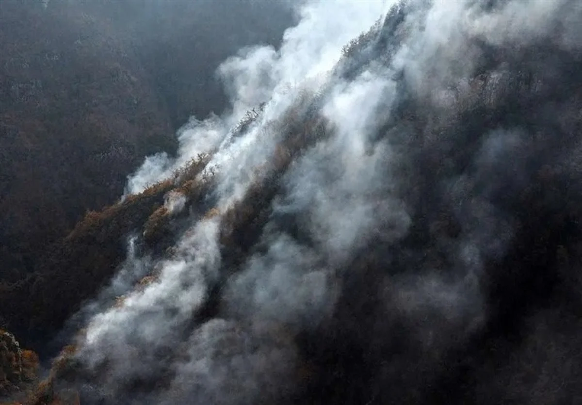 آتش‌سوزی گسترده در جنگل الیت مازندران؛ خسارت به بخشی از اکوسیستم هیرکانی+فیلم