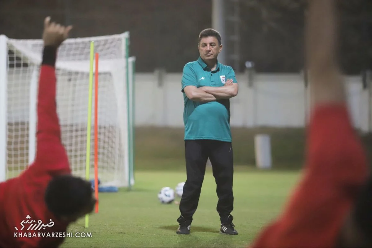 امیر قلعه نویی