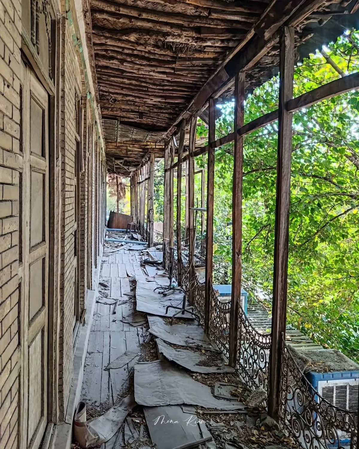 2025-11-25_16-07-23_600815-meylesokhan-ir photo_2025-11-25_15-11-03_11zon