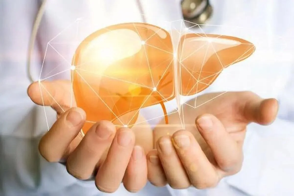 2025-11-25_22-09-13_800994-meylesokhan-ir 5140364 (1)