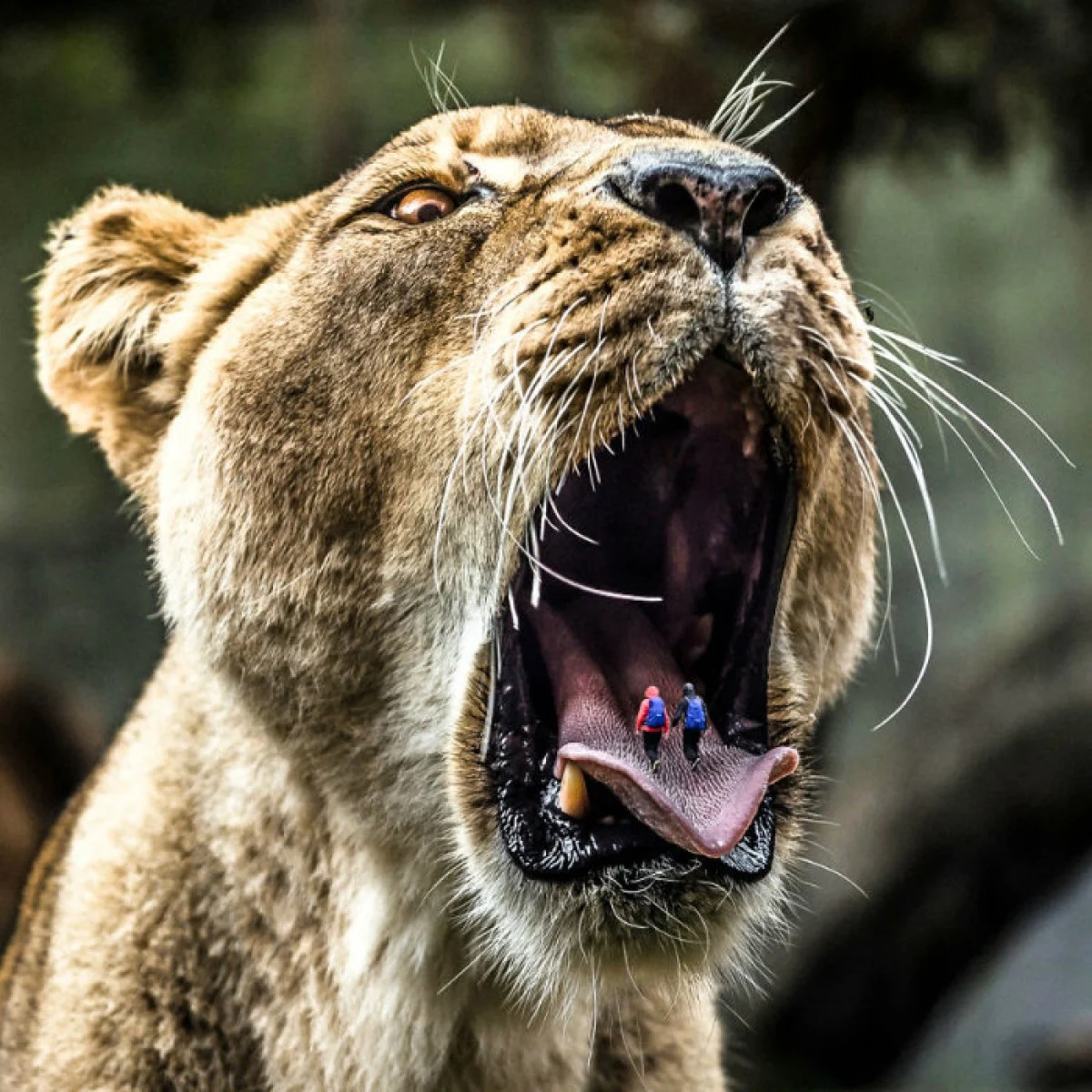 2025-11-26_08-46-15_738199-meylesokhan-ir 7