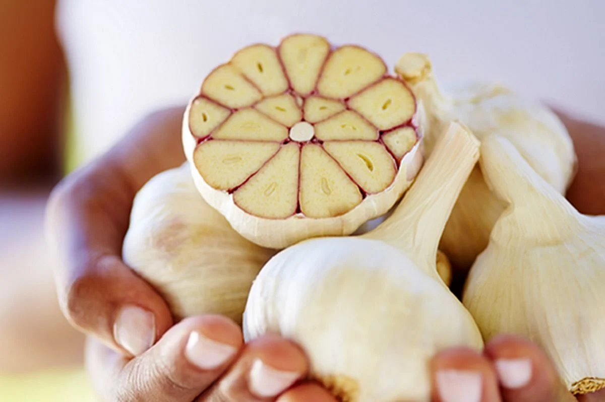 آیا «سیر» میتواند جایگزین دهانشویه شود؟ آیا «سیر» میتواند جایگزین دهانشویه شود؟