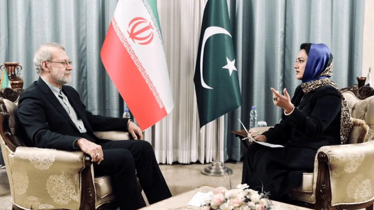 لاریجانی: حاضریم کارت سفید به پاکستانیها بدهیم لاریجانی: حاضریم کارت سفید به پاکستانیها بدهیم