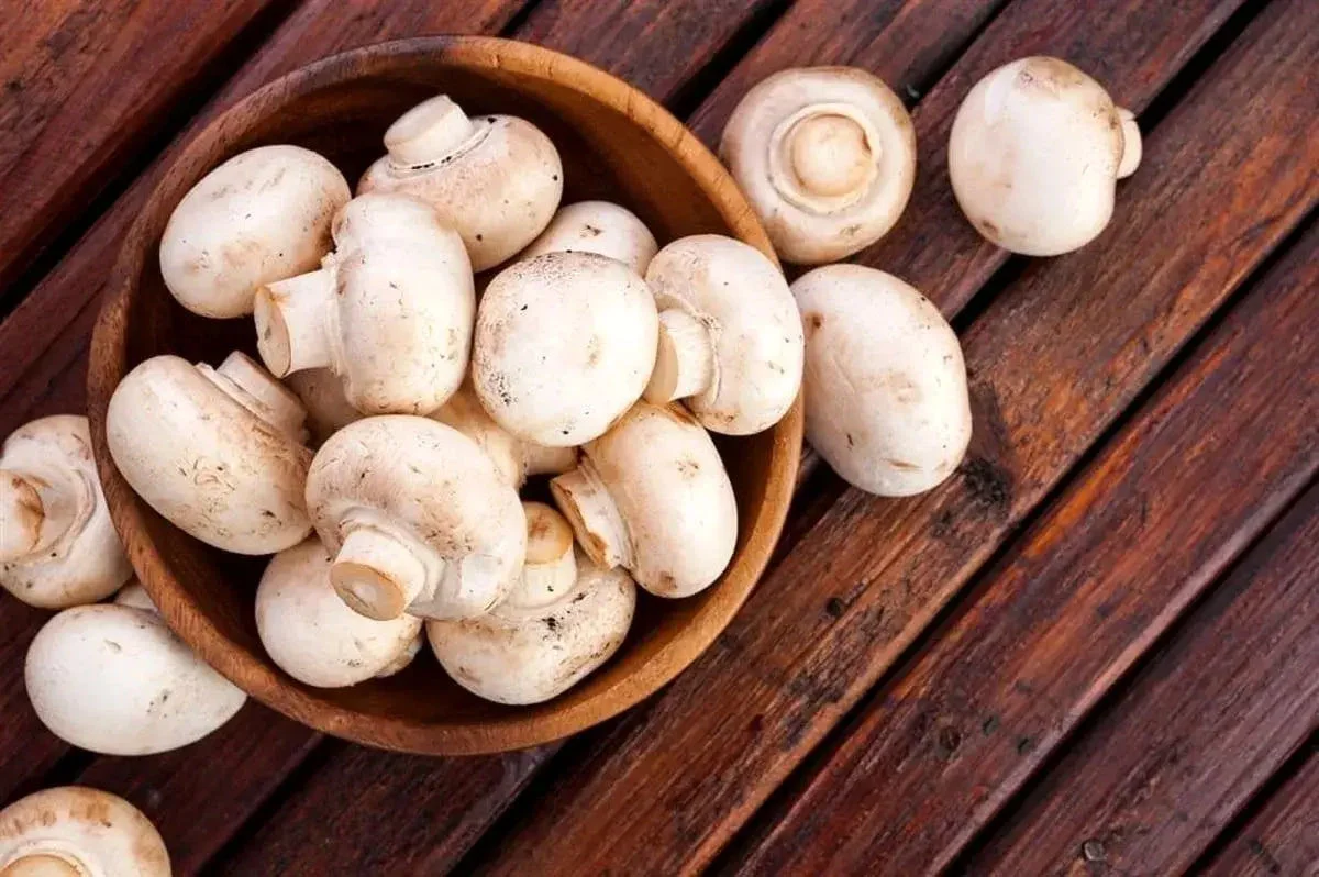 برای سلامت قلبتان قارچ بخورید برای سلامت قلبتان قارچ بخورید