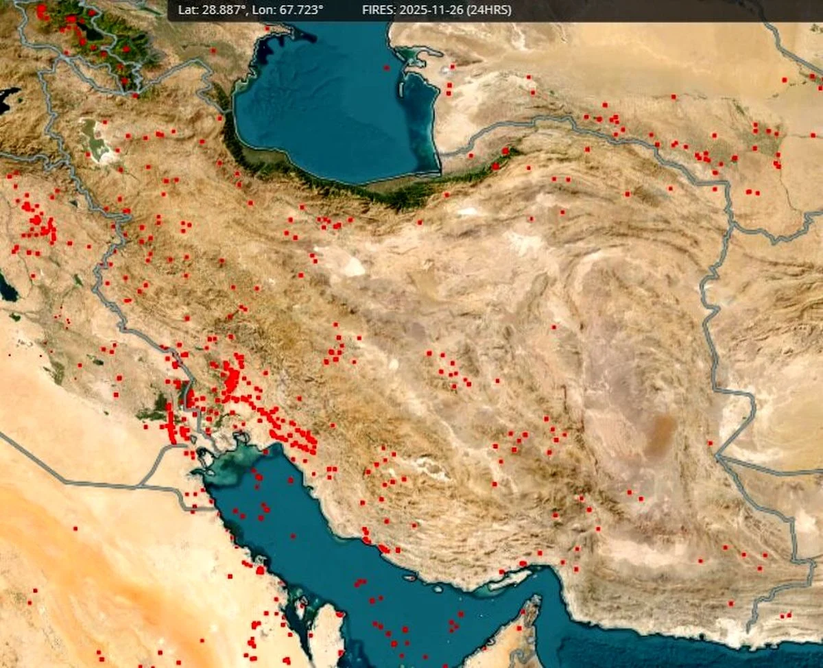 ورود به این جنگلها ممنوع شد ورود به این جنگلها ممنوع شد