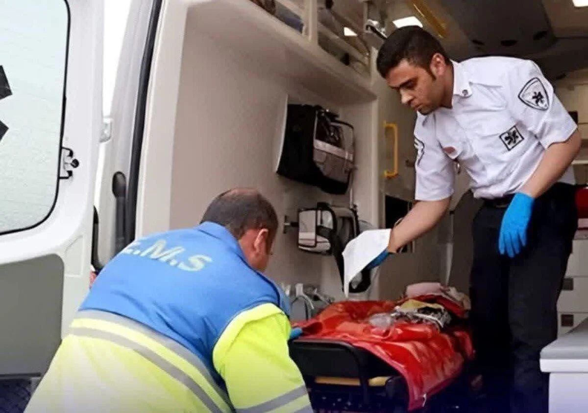 2025-11-27_10-22-09_137097-meylesokhan-ir 2383243_700