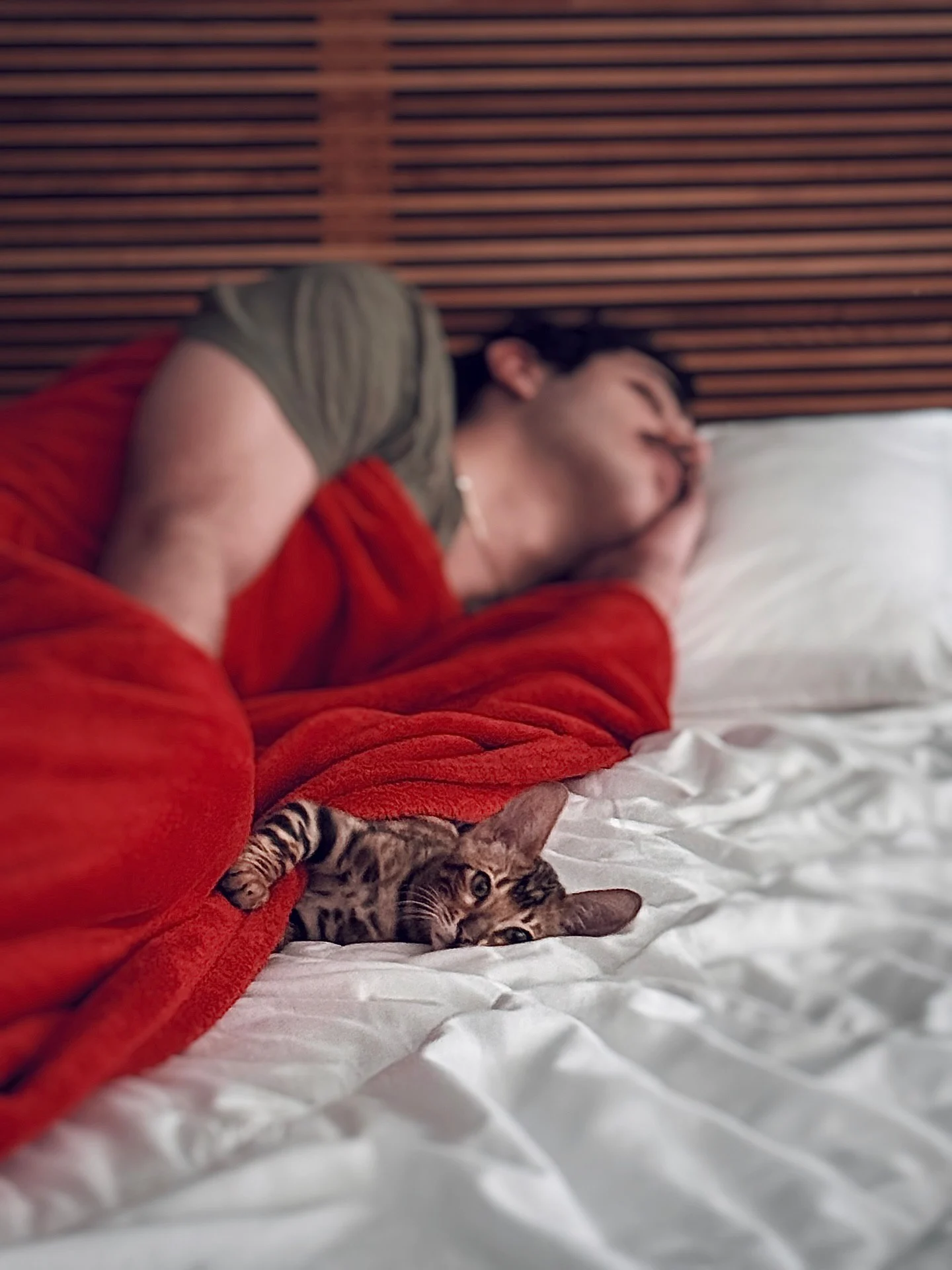 photo_2025-11-26_15-30-41