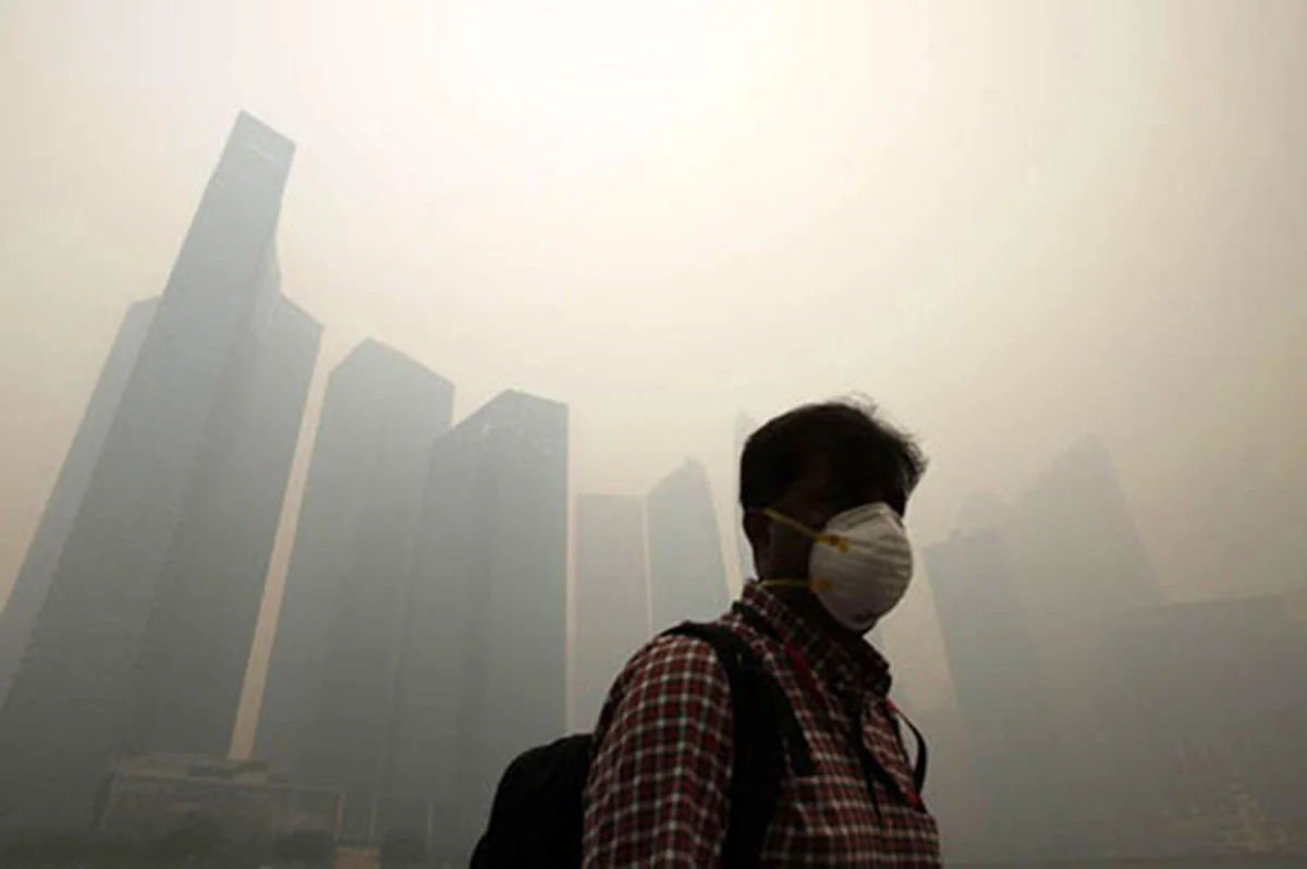 این سبزی ساده، قویترین نجاتدهنده شما در هوای آلوده این سبزی ساده، قویترین نجاتدهنده شما در هوای آلوده