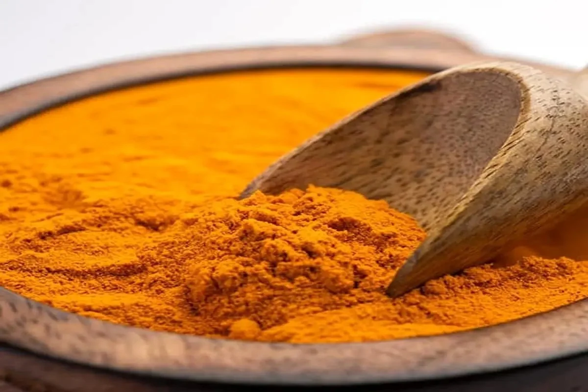 2025-11-27_19-25-50_012830-meylesokhan-ir 1876609_287