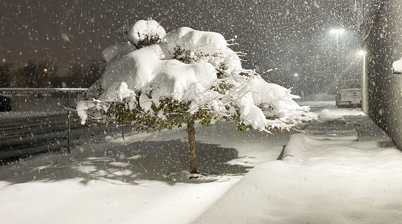 هشدارهای شدید برف در Simcoe و Waterloo؛ تورنتو فقط سرد شد! هشدارهای شدید برف در Simcoe و Waterloo؛ تورنتو فقط سرد شد!