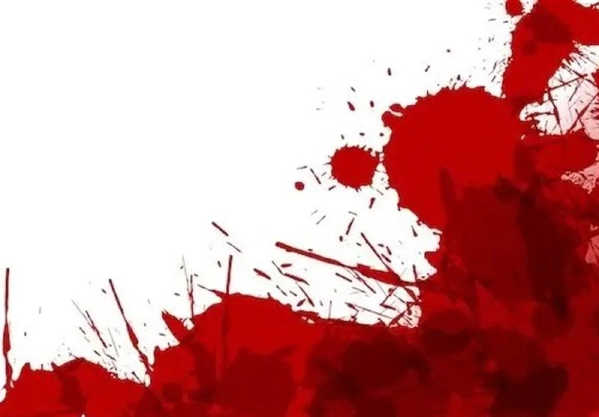 2025-11-29_14-03-09_561547-meylesokhan-ir 1404060113512634433786554