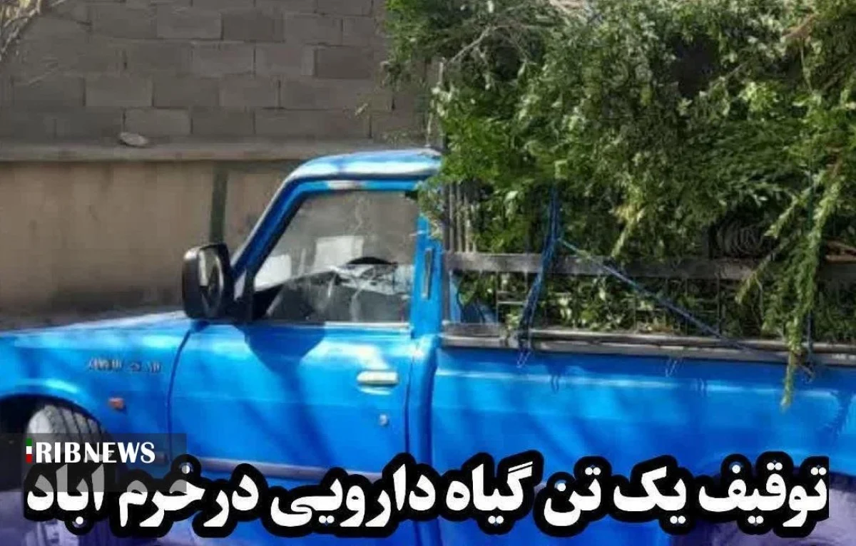 کشف یک تُن گیاه دارویی غیرمجاز در خرمآباد؛ توقیف وانت نیسان و دستگیری یک نفر کشف یک تُن گیاه دارویی غیرمجاز در خرمآباد؛ توقیف وانت نیسان و دستگیری یک نفر