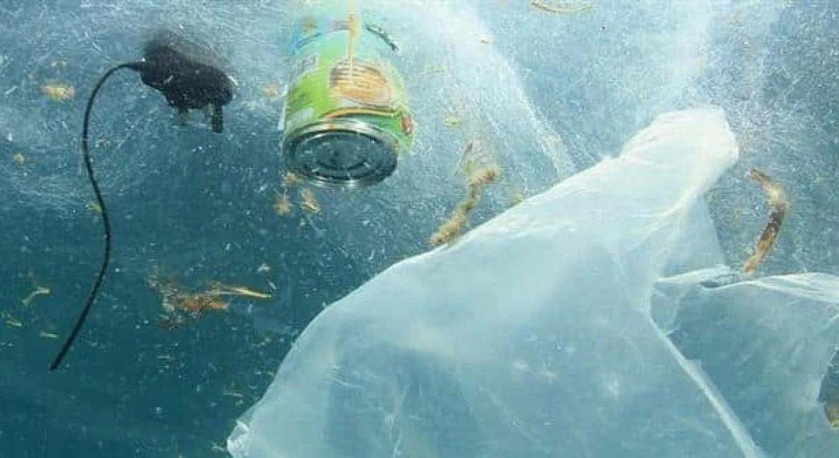 2025-11-30_12-01-45_695126-meylesokhan-ir _قابل_تجزیه_و_آینده_دنیای_پلاستیکی_ما-e1759154661224