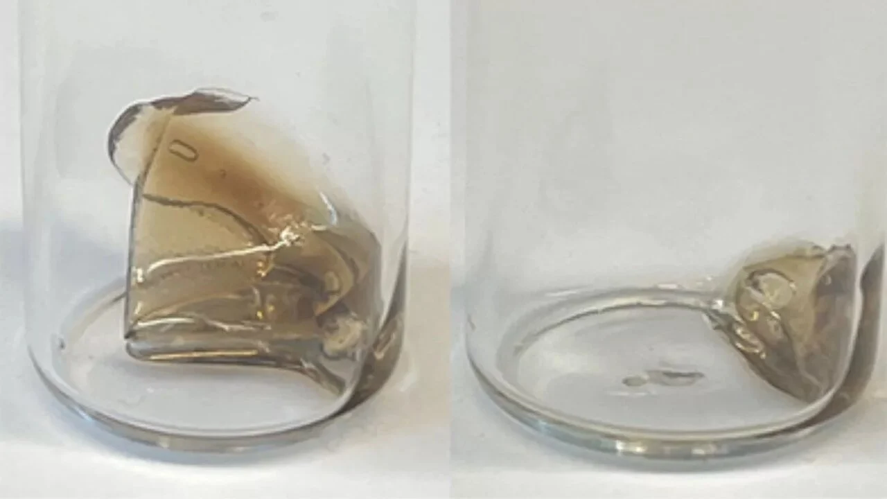 2025-11-30_12-01-46_014082-meylesokhan-ir 6332580