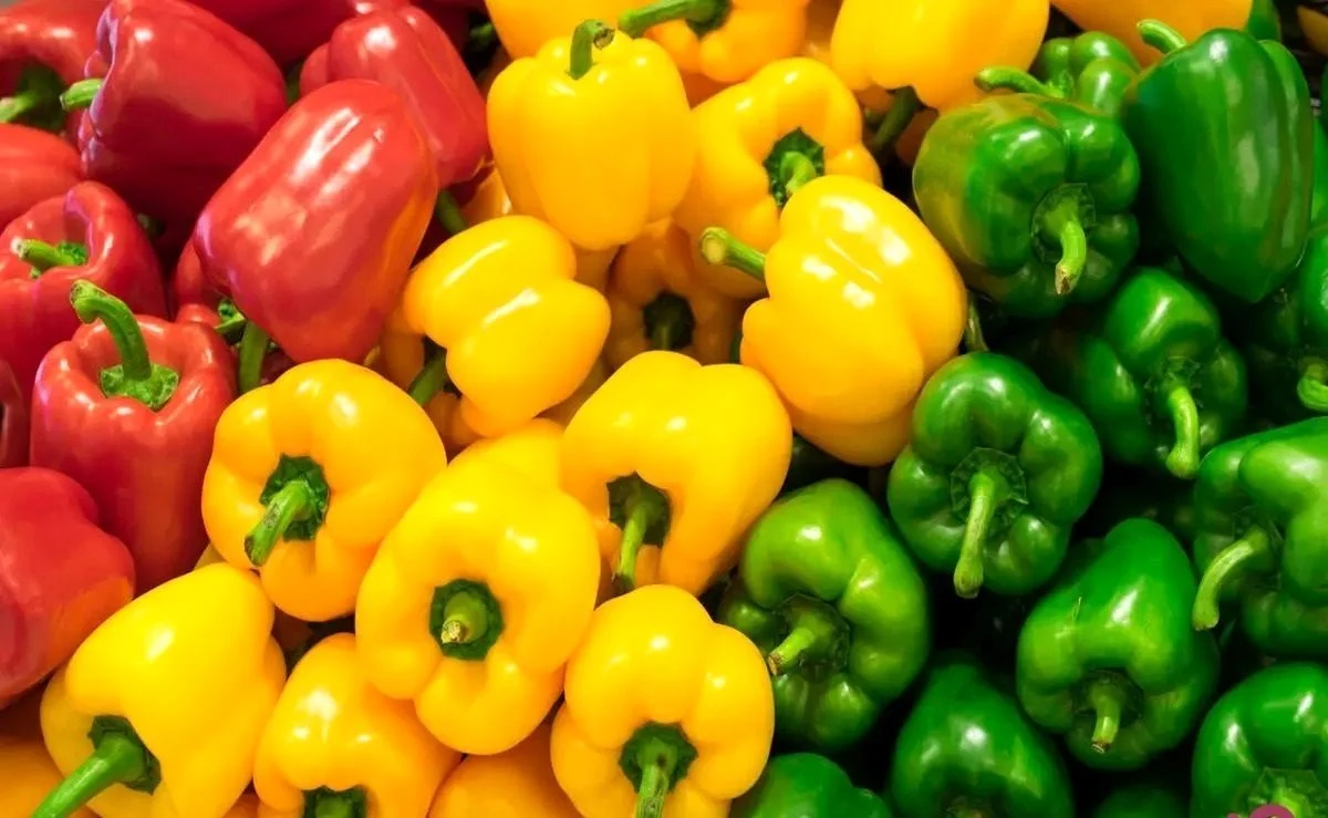 این صیفی رنگارنگ منبع ویتامین C است این صیفی رنگارنگ منبع ویتامین C است