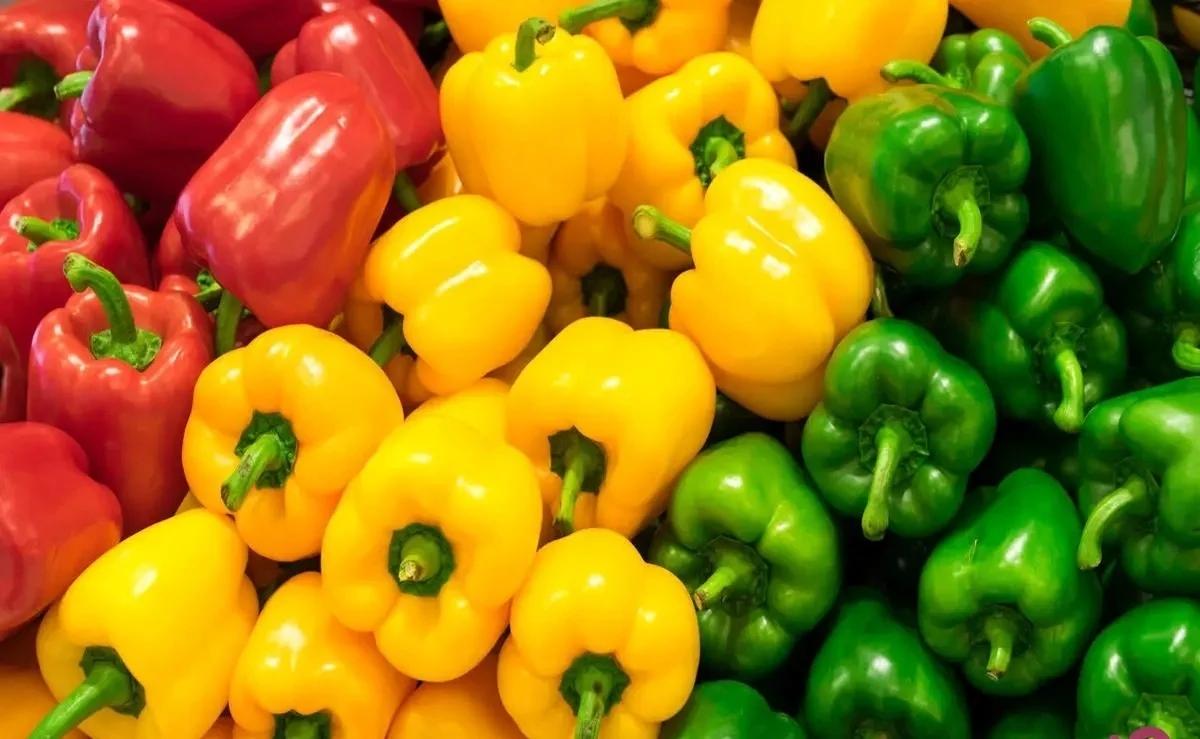 2025-12-01_09-32-23_020351-meylesokhan-ir 1933828_377