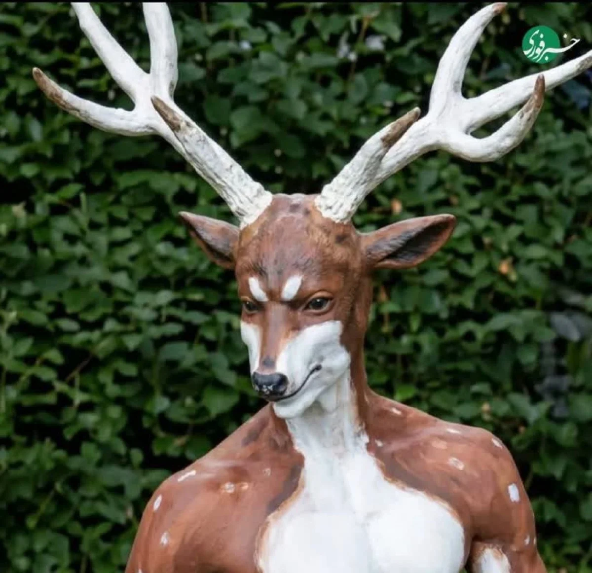 تراژدی عجیب در آمریکا؛ انسانِ شبیه گوزن کشته شد+عکس تراژدی عجیب در آمریکا؛ انسانِ شبیه گوزن کشته شد+عکس