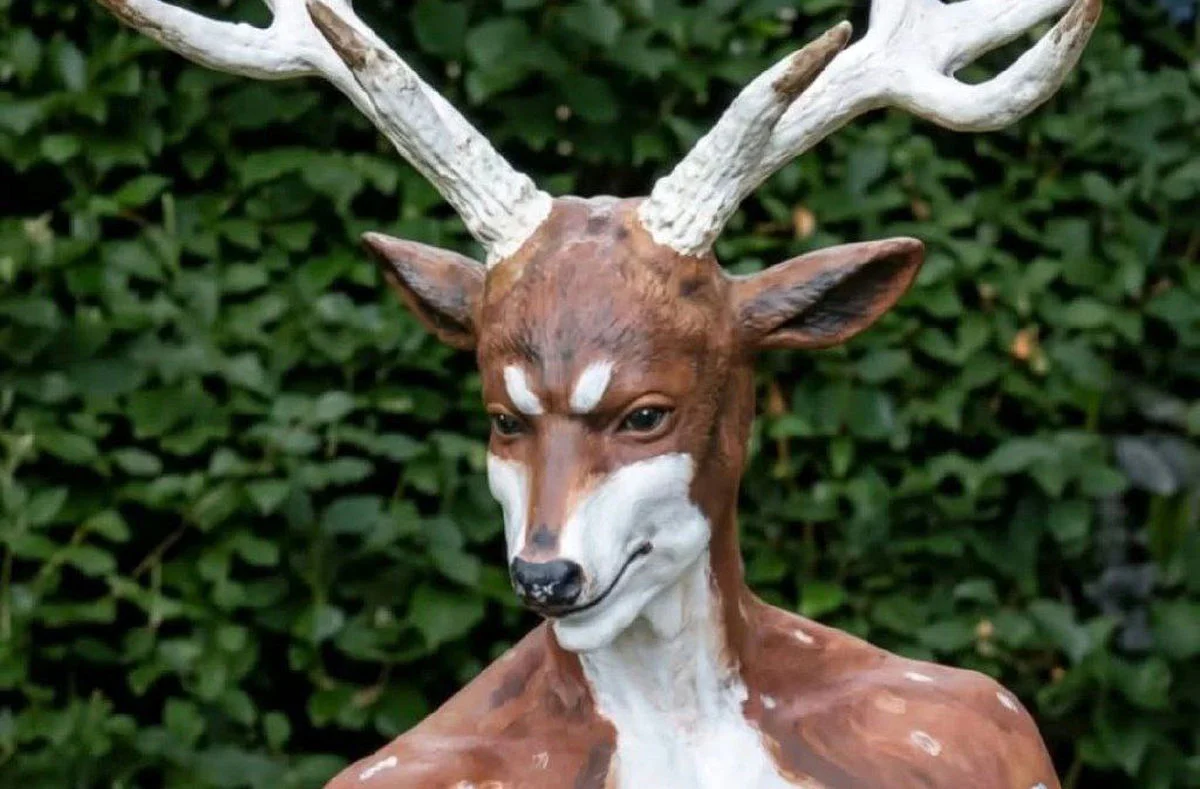 مرد گوزننما در آمریکا به اشتباه شکار شد! مرد گوزننما در آمریکا به اشتباه شکار شد!