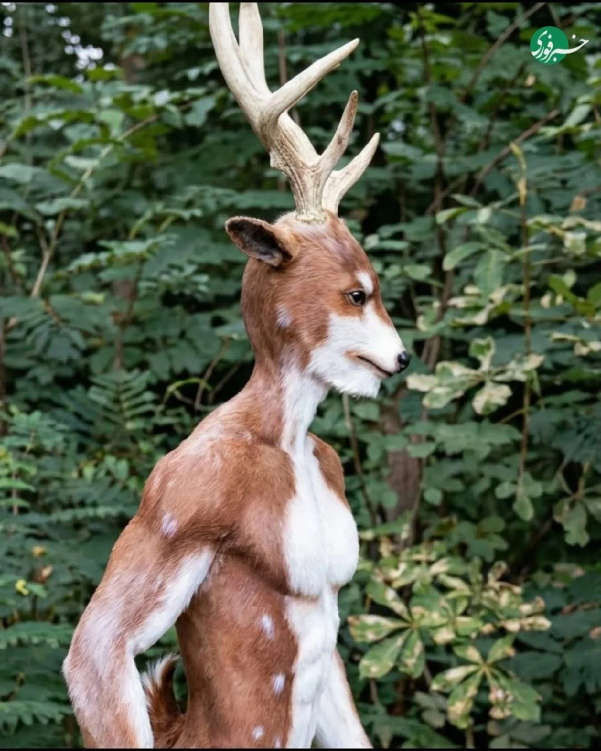 2025-12-01_10-49-02_402222-meylesokhan-ir 2