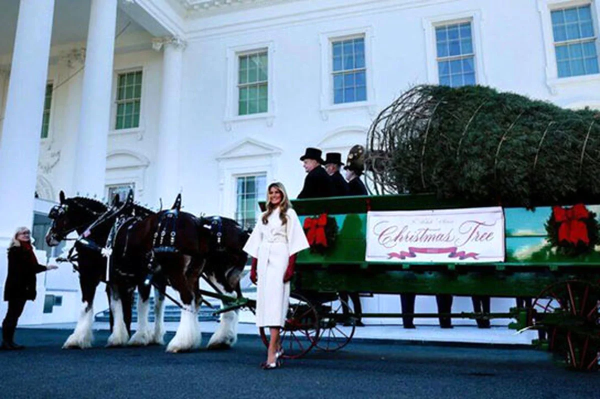 همسران بایدن و ترامپ کریسمس کاخ سفید را چگونه تزئین کردند؟