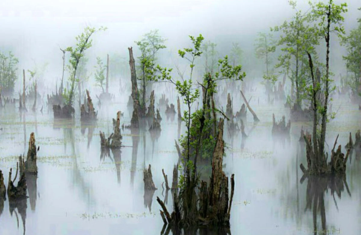 جاهای باورنکردنی ایران که فقط در فیلم‌ها دیده‌اید!