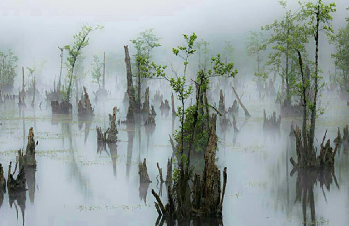 2025-12-02_08-55-50_652416-meylesokhan-ir نوشهر