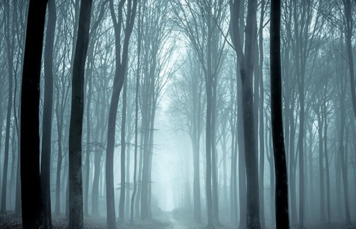 2025-12-02_08-55-52_031603-meylesokhan-ir مشهد