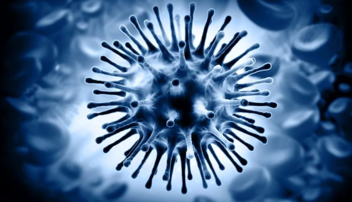 هشدار جدی: کودکان ۵ تا ۱۴ سال در معرض سویه جدید آنفلوآنزا هشدار جدی: کودکان ۵ تا ۱۴ سال در معرض سویه جدید آنفلوآنزا