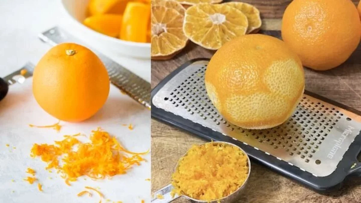 2025-12-02_17-11-44_477065-meylesokhan-ir 5280163