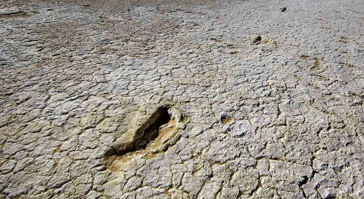 معمای کشف اسکلت انسان در شورآباد معمای کشف اسکلت انسان در شورآباد