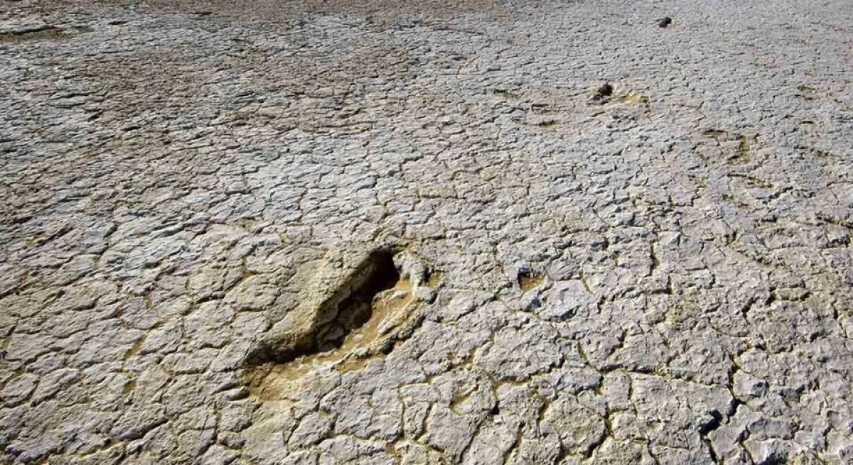 2025-12-02_20-47-25_654131-meylesokhan-ir 5269379