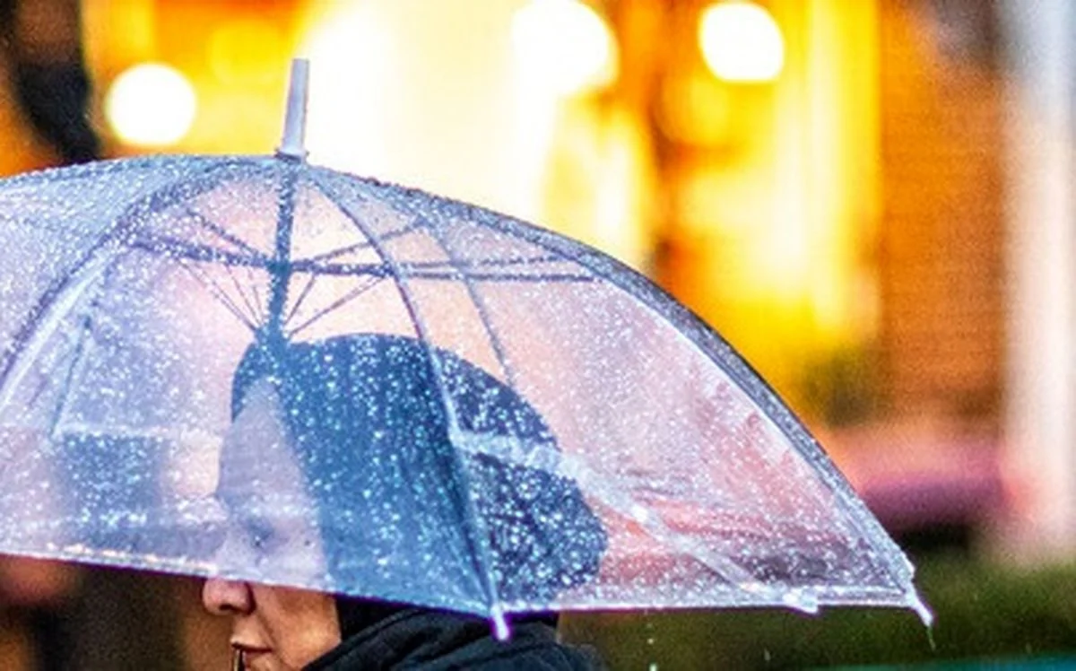 خبر خوش درباره زمان ورود «النینو» به ایران خبر خوش درباره زمان ورود «النینو» به ایران
