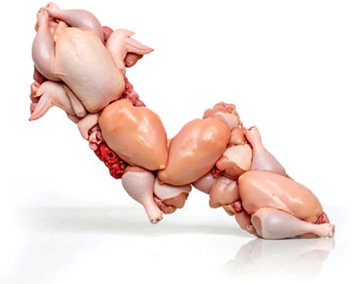 قیمت مرغ با سود متعارف چقدر باید باشد؟ قیمت مرغ با سود متعارف چقدر باید باشد؟