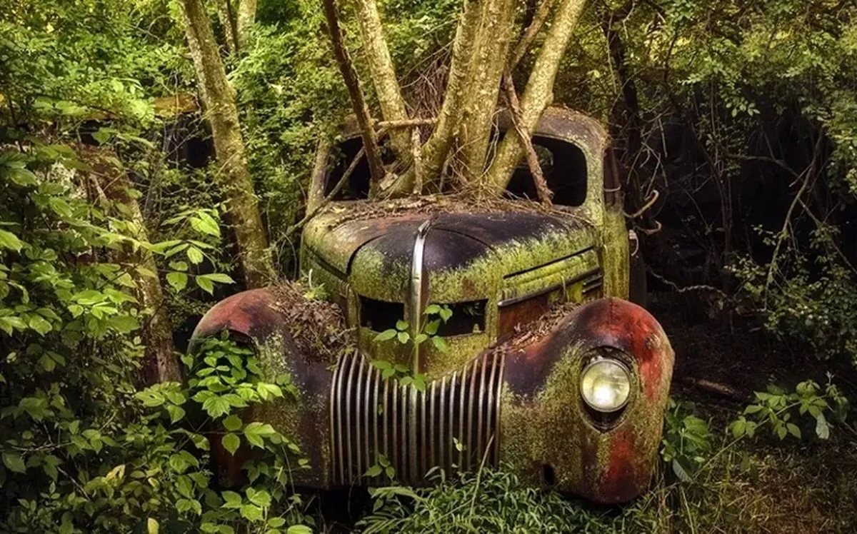 زیبایی وهمآلود خودروهایی که به تصرف طبیعت درآمدهاند زیبایی وهمآلود خودروهایی که به تصرف طبیعت درآمدهاند