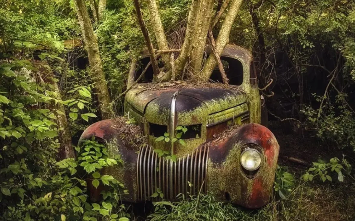 2025-12-03_10-31-37_536647-meylesokhan-ir 1