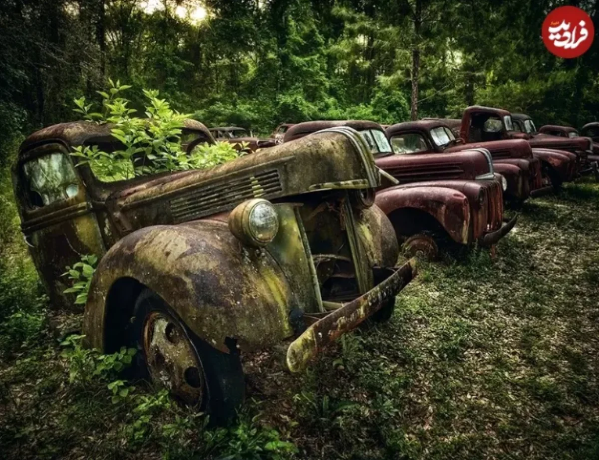 2025-12-03_10-31-39_244241-meylesokhan-ir 3