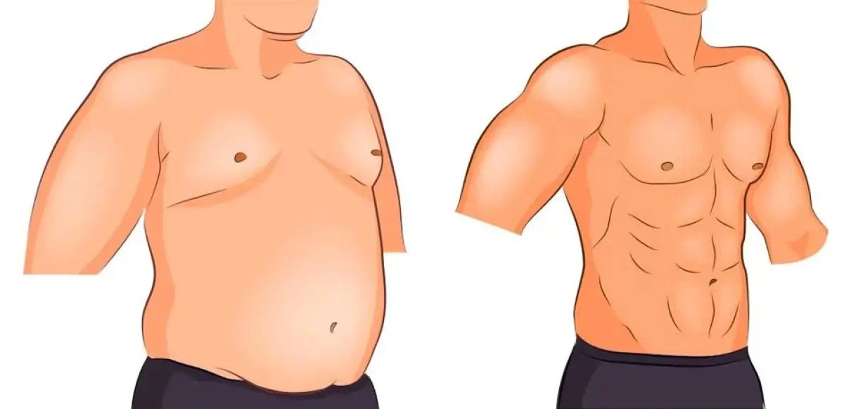 2025-12-03_20-32-19_028574-meylesokhan-ir چند نکته مهم درمورد لیپوماتیک